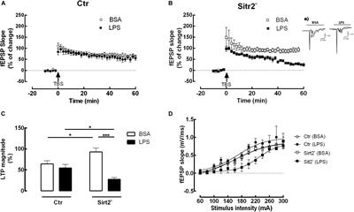 Microglial Sirtuin 2 Shapes Long-Term Potentiation in Hippocampal Slices